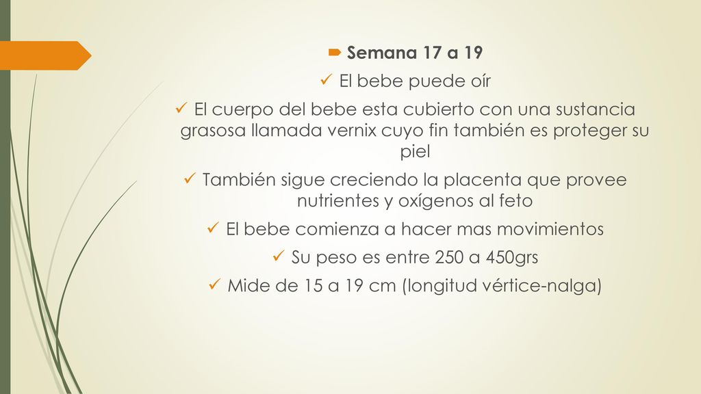 El bebe comienza a hacer mas movimientos Su peso es entre 250 a 450grs