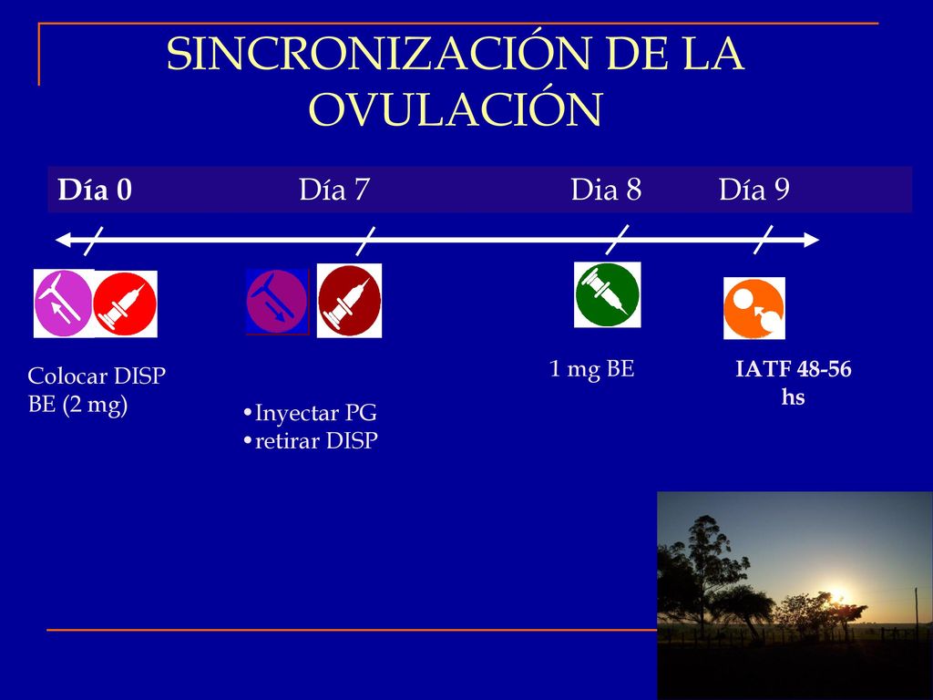 UN PROGRAMA DE IATF COMO HERRAMIENTA DE PRODUCCIÓN EN UN RODEO DE CRÍA