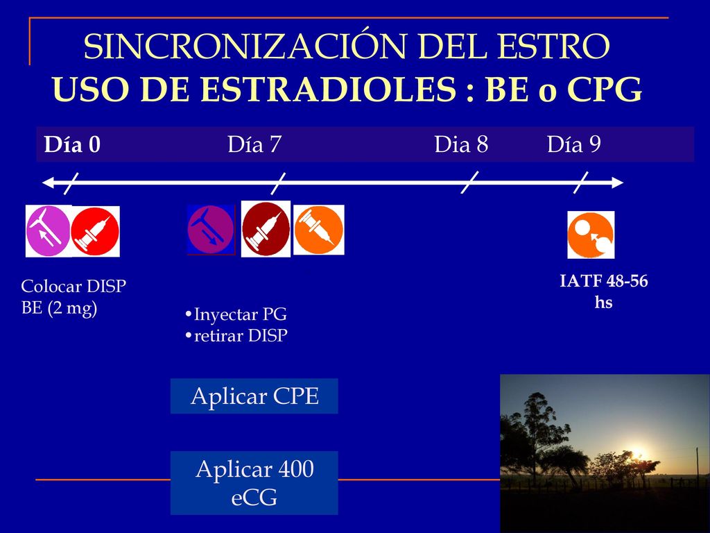 UTILIZACIÓN DE GNRH AL MOMENTO DE LA IATF EN VAQUILLONAS DE 18 meses