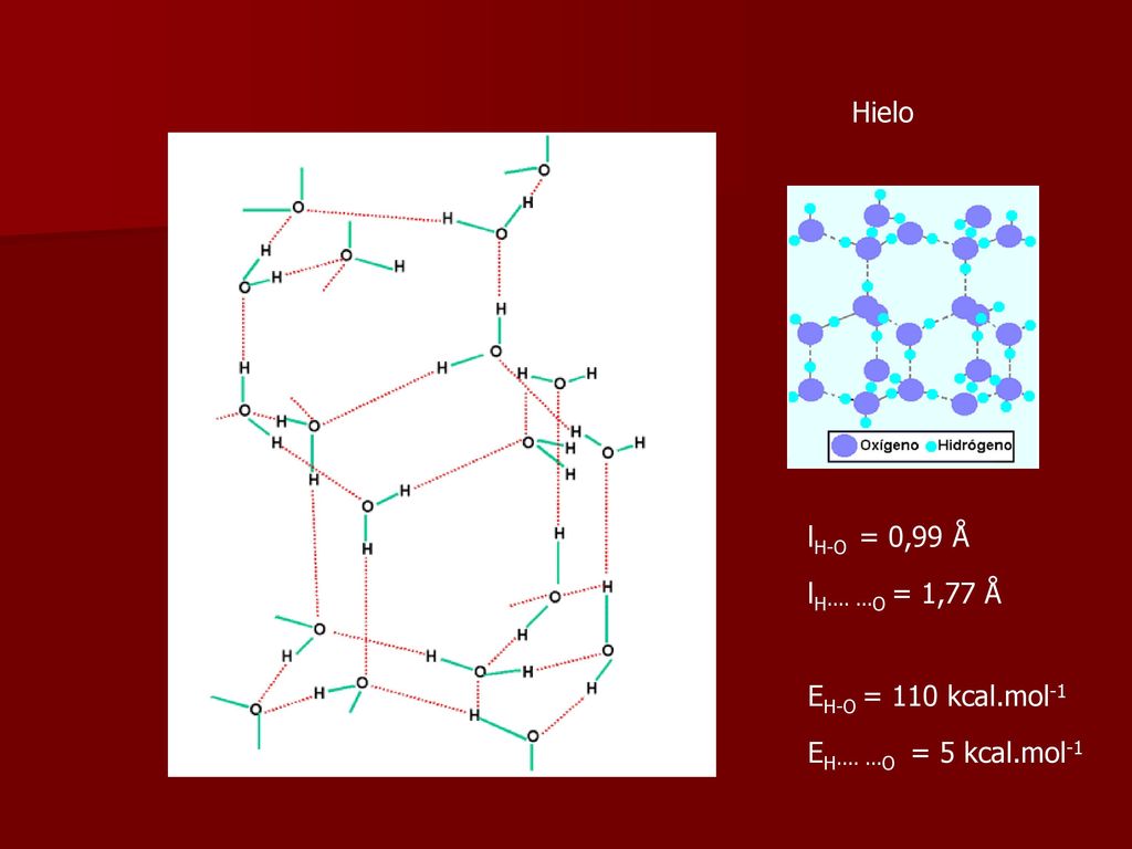 Hielo lH-O = 0,99 Å lH∙∙∙∙ ∙∙∙O = 1,77 Å EH-O = 110 kcal.mol-1 EH∙∙∙∙ ∙∙∙O = 5 kcal.mol-1