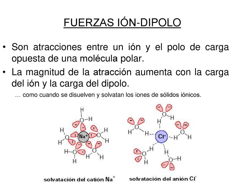 FUERZAS IÓN-DIPOLO Son atracciones entre un ión y el polo de carga opuesta de una molécula polar.