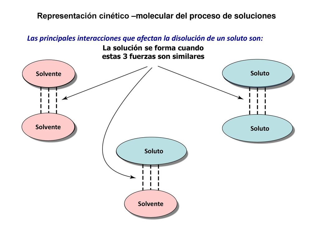 La solución se forma cuando estas 3 fuerzas son similares