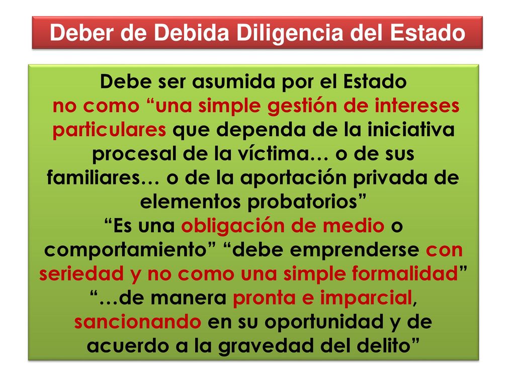 Deber de Debida Diligencia del Estado Debe ser asumida por el Estado
