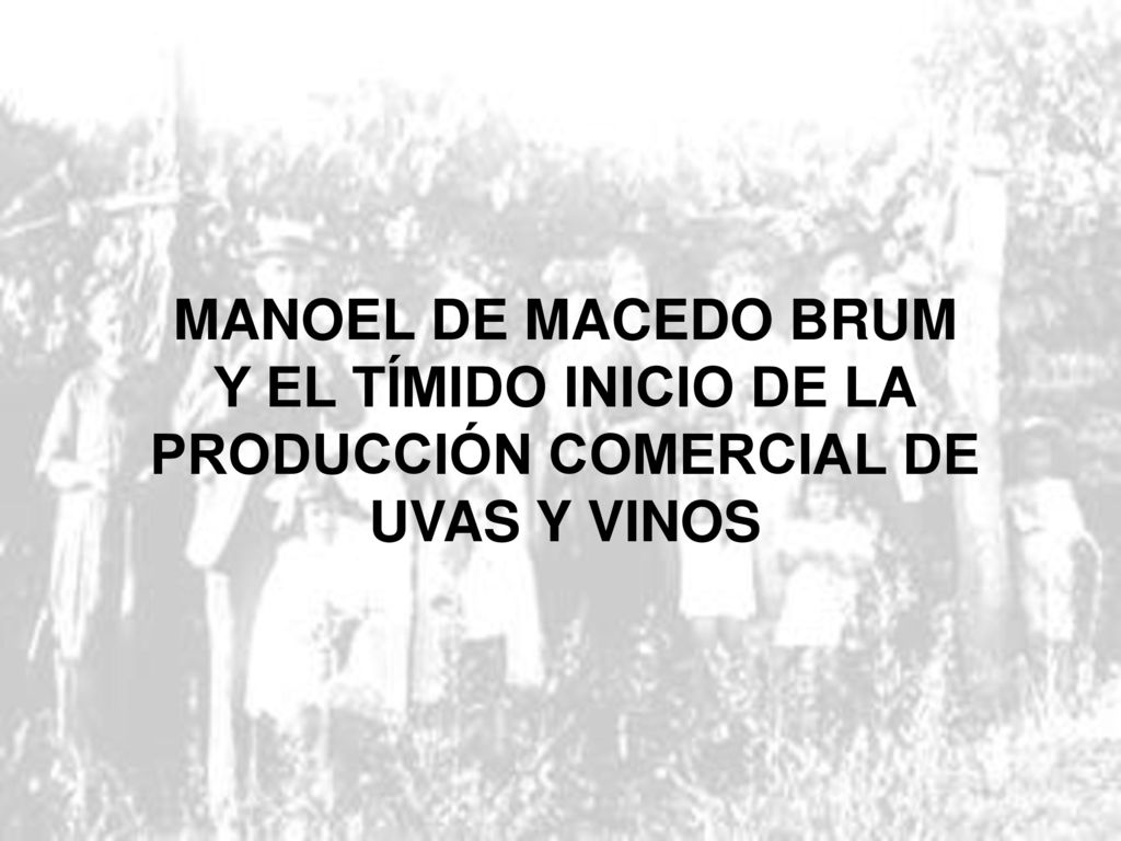 MANOEL DE MACEDO BRUM Y EL TÍMIDO INICIO DE LA PRODUCCIÓN COMERCIAL DE UVAS Y VINOS