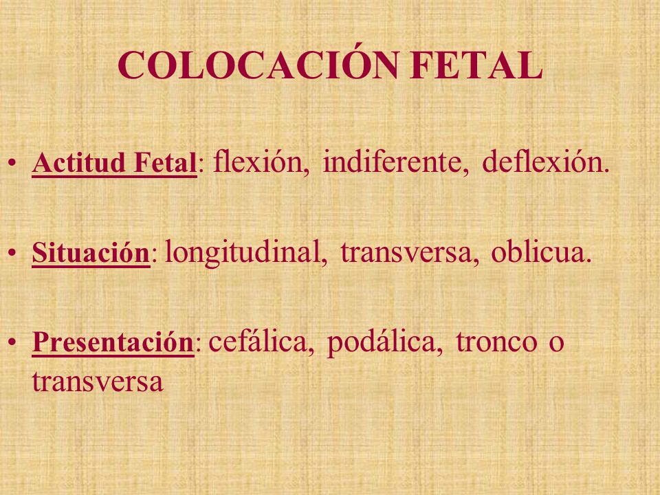 COLOCACIÓN FETAL Actitud Fetal: flexión, indiferente, deflexión.