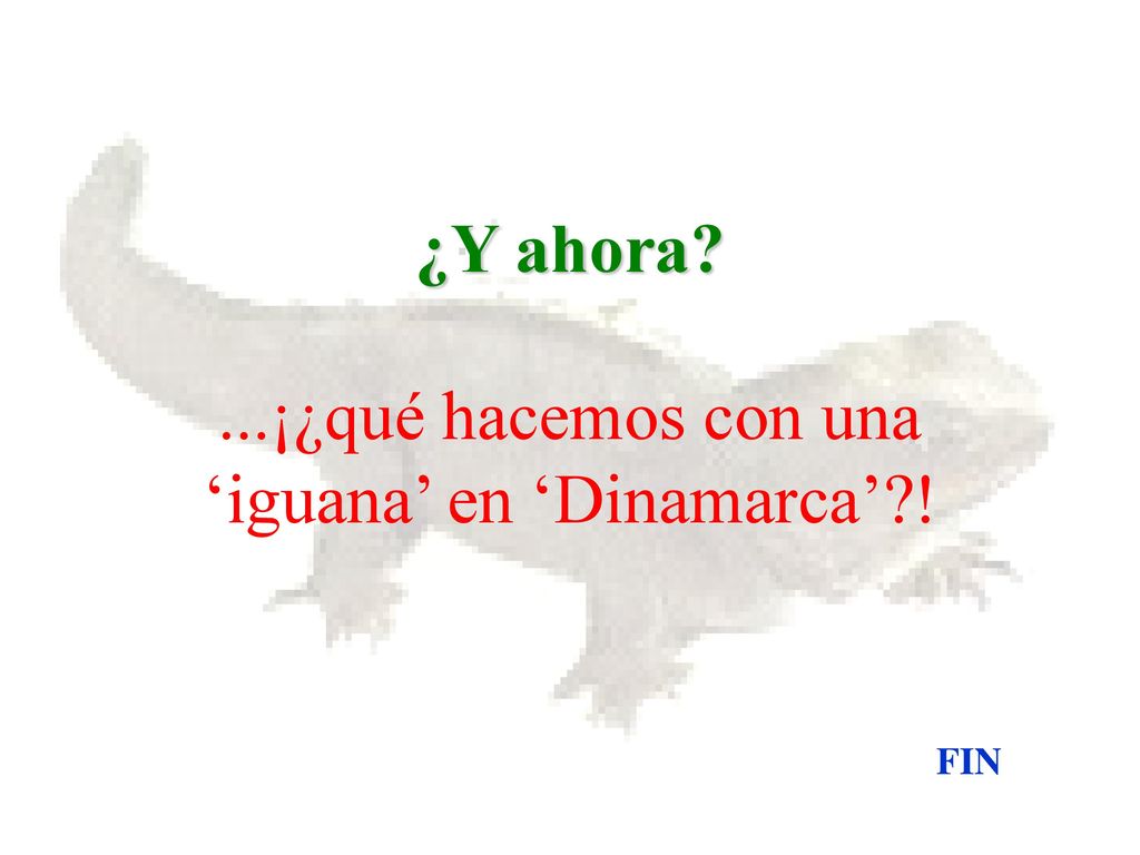 ¿Y ahora ...¡¿qué hacemos con una ‘iguana’ en ‘Dinamarca’ !