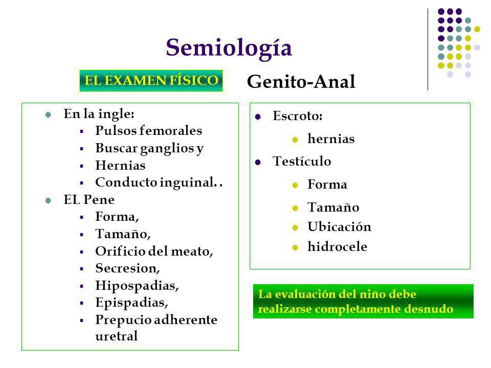 Semiología Genito-Anal EL EXAMEN FÍSICO En la ingle: Pulsos femorales