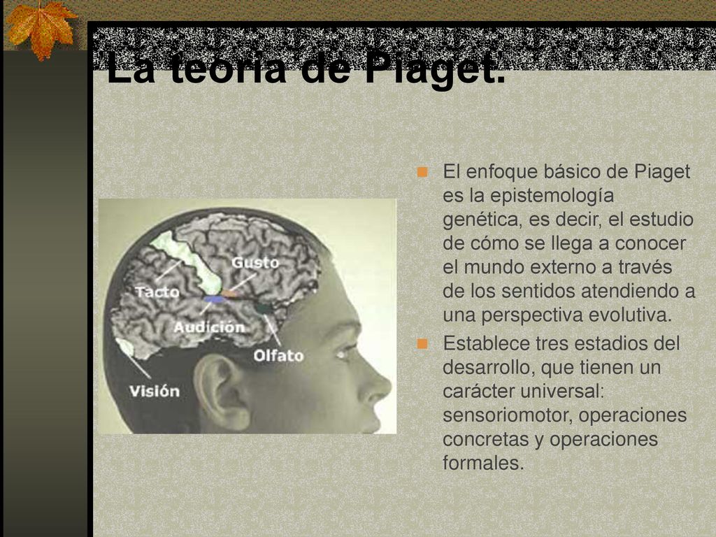 La teoría de Piaget.