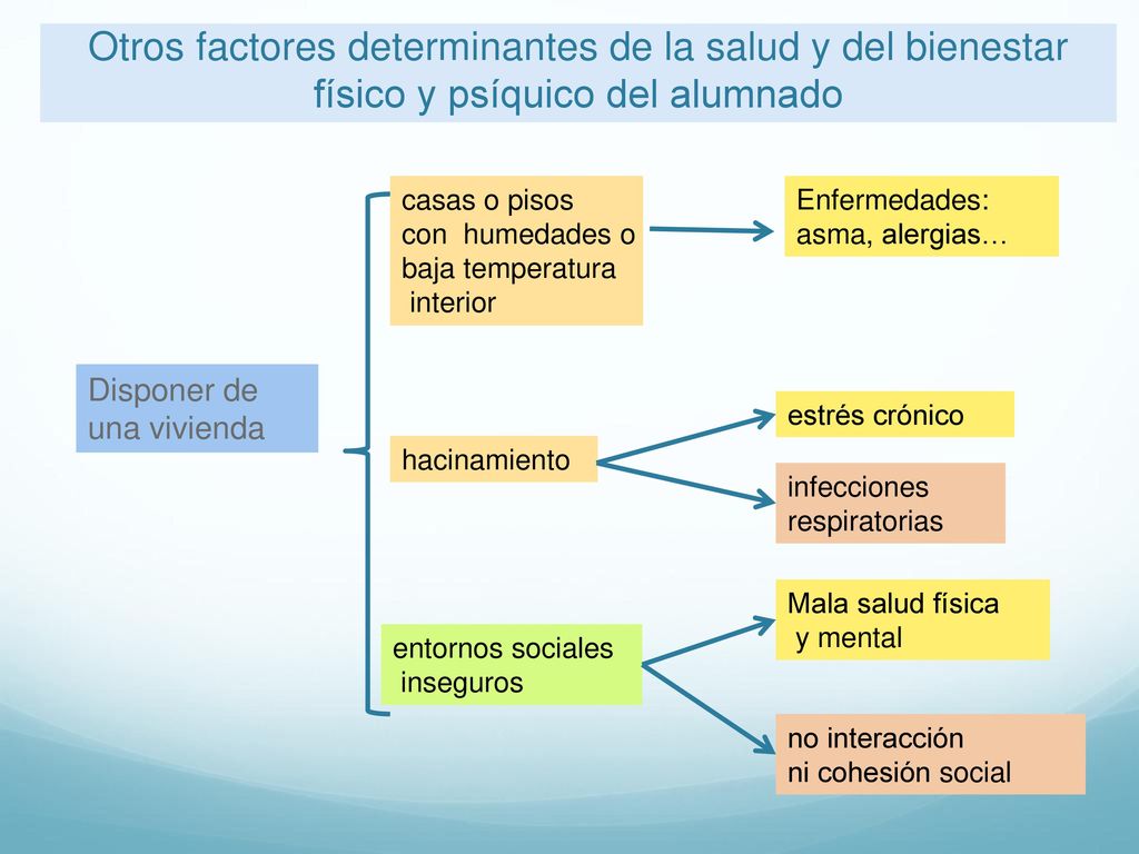 Otros factores determinantes de la salud y del bienestar físico y psíquico del alumnado