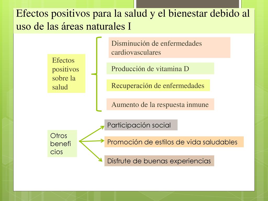 Efectos positivos para la salud y el bienestar debido al uso de las áreas naturales I