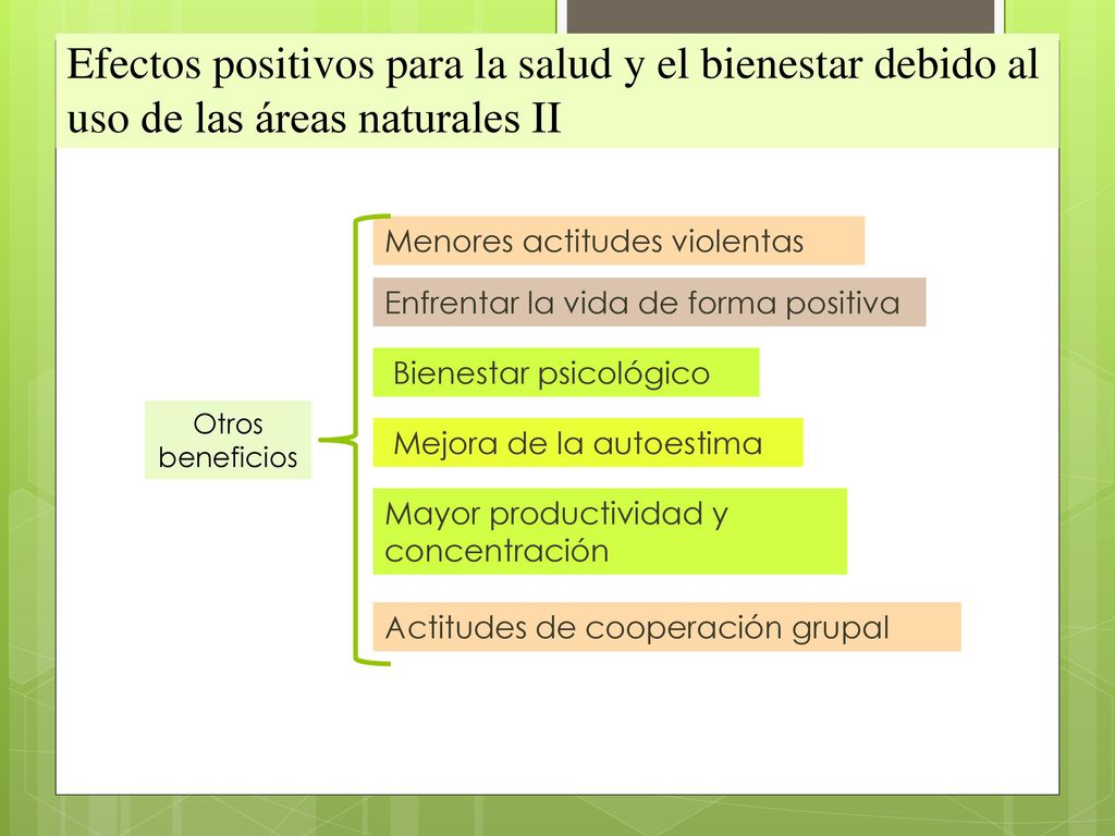 Efectos positivos para la salud y el bienestar debido al uso de las áreas naturales II