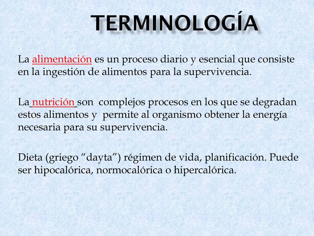 tERMINOLOGÍA La alimentación es un proceso diario y esencial que consiste en la ingestión de alimentos para la supervivencia.