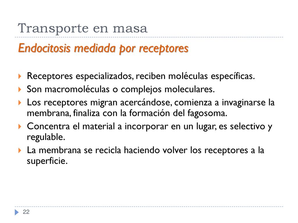 Transporte en masa Endocitosis mediada por receptores