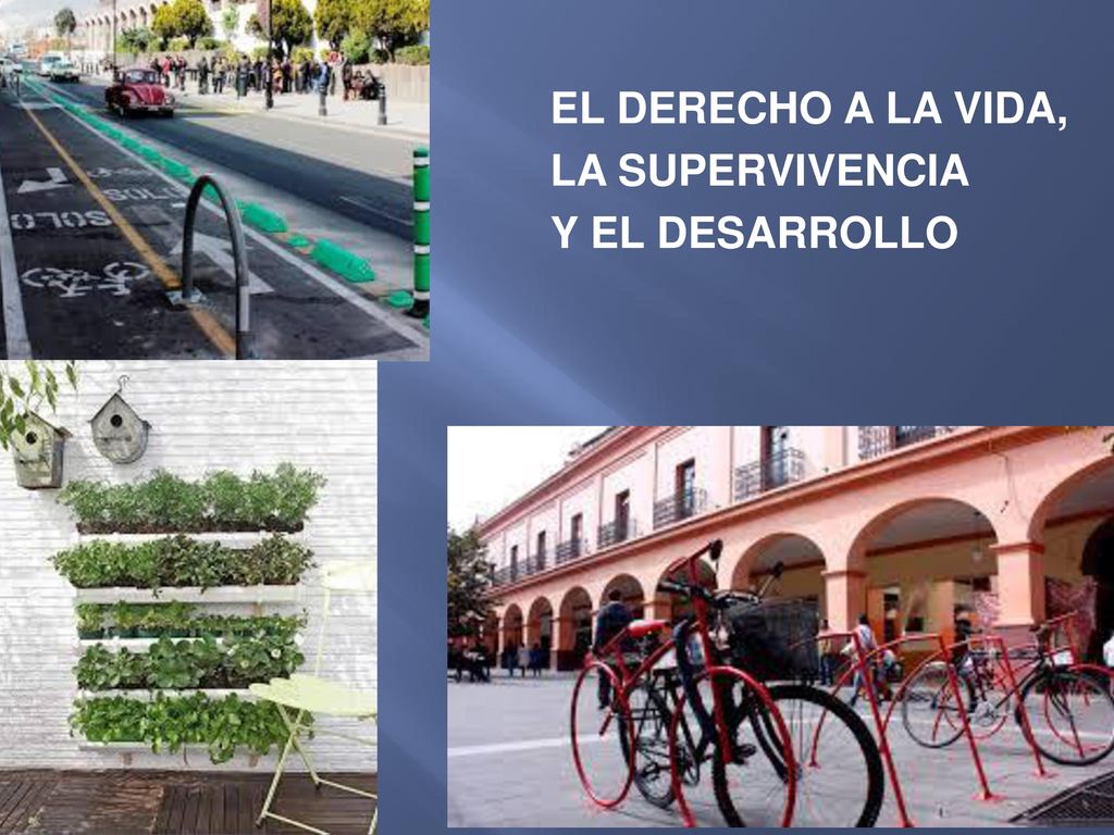 EL DERECHO A LA VIDA, LA SUPERVIVENCIA Y EL DESARROLLO