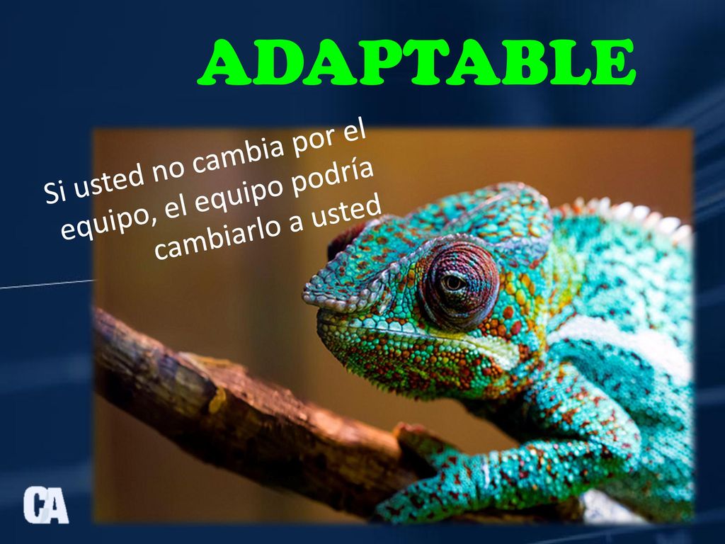 Si usted no cambia por el equipo, el equipo podría cambiarlo a usted