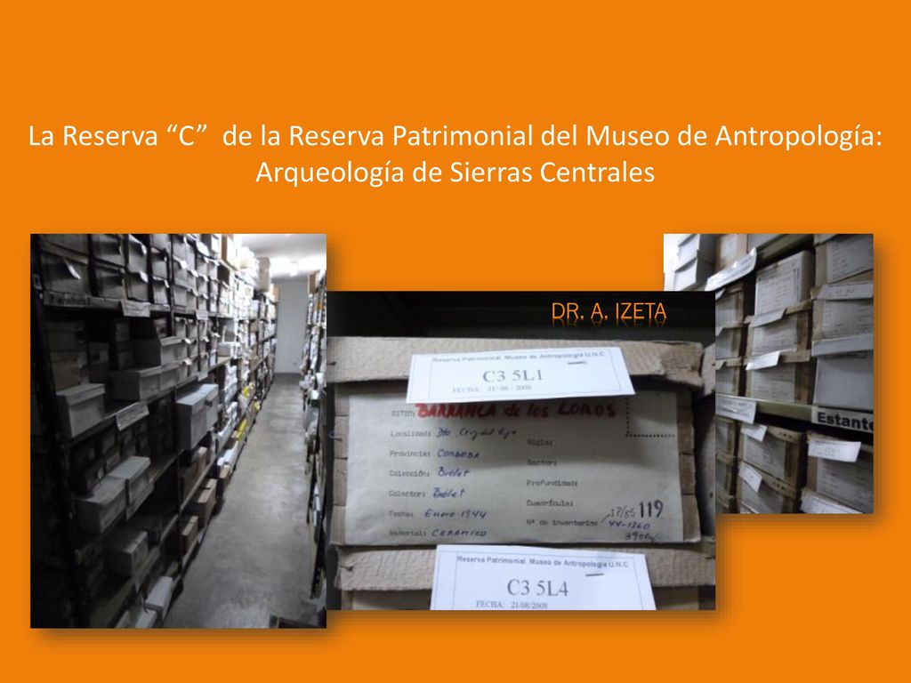 La Reserva C de la Reserva Patrimonial del Museo de Antropología: