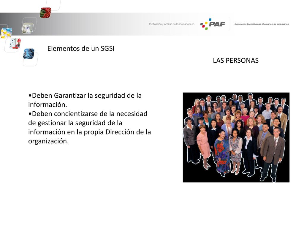 Elementos de un SGSI LAS PERSONAS. •Deben Garantizar la seguridad de la información.