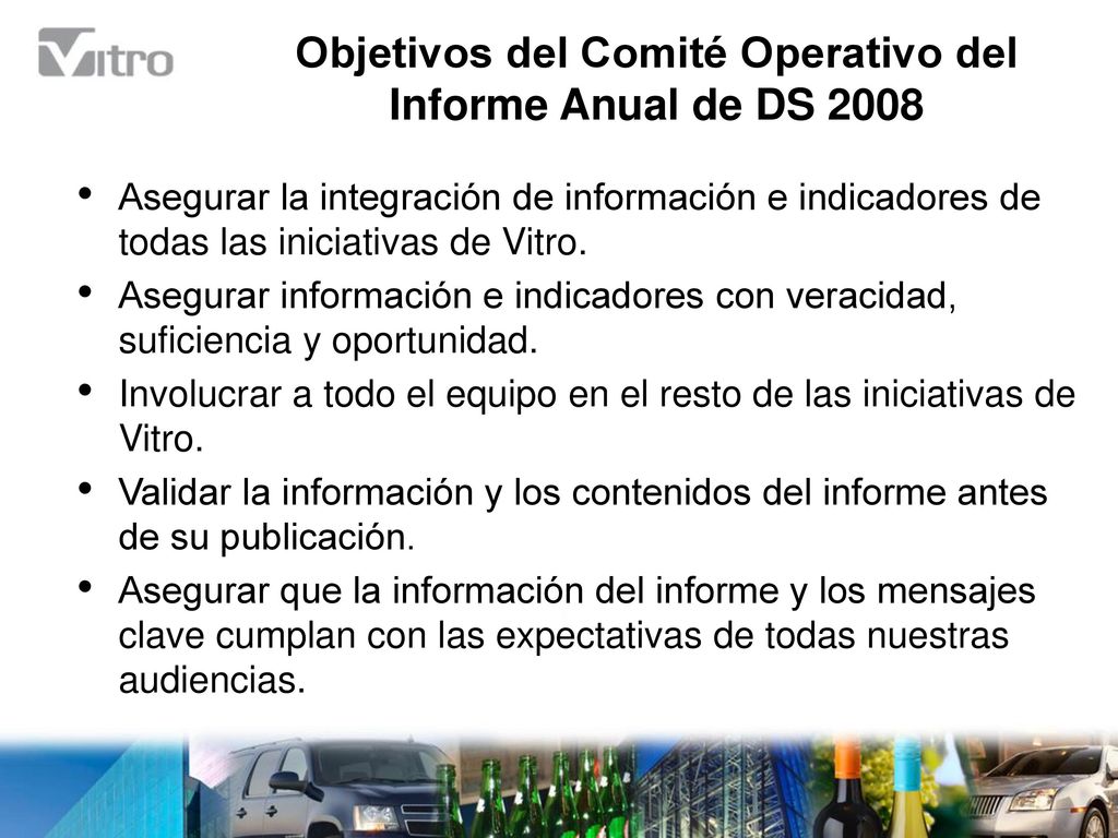 Objetivos del Comité Operativo del Informe Anual de DS 2008