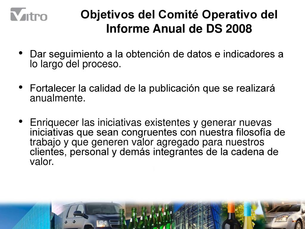 Objetivos del Comité Operativo del Informe Anual de DS 2008