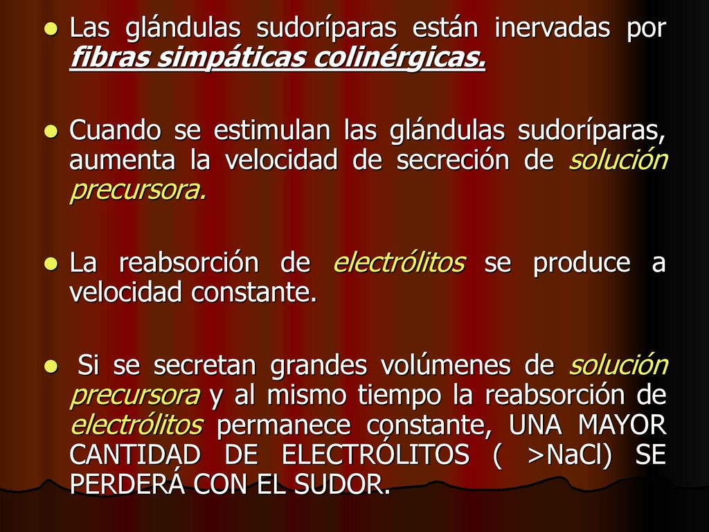 Las glándulas sudoríparas están inervadas por fibras simpáticas colinérgicas.