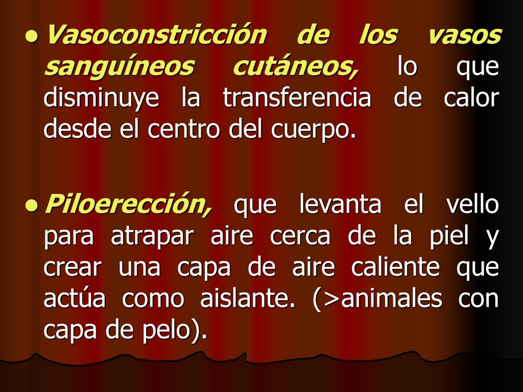 Vasoconstricción de los vasos sanguíneos cutáneos, lo que disminuye la transferencia de calor desde el centro del cuerpo.