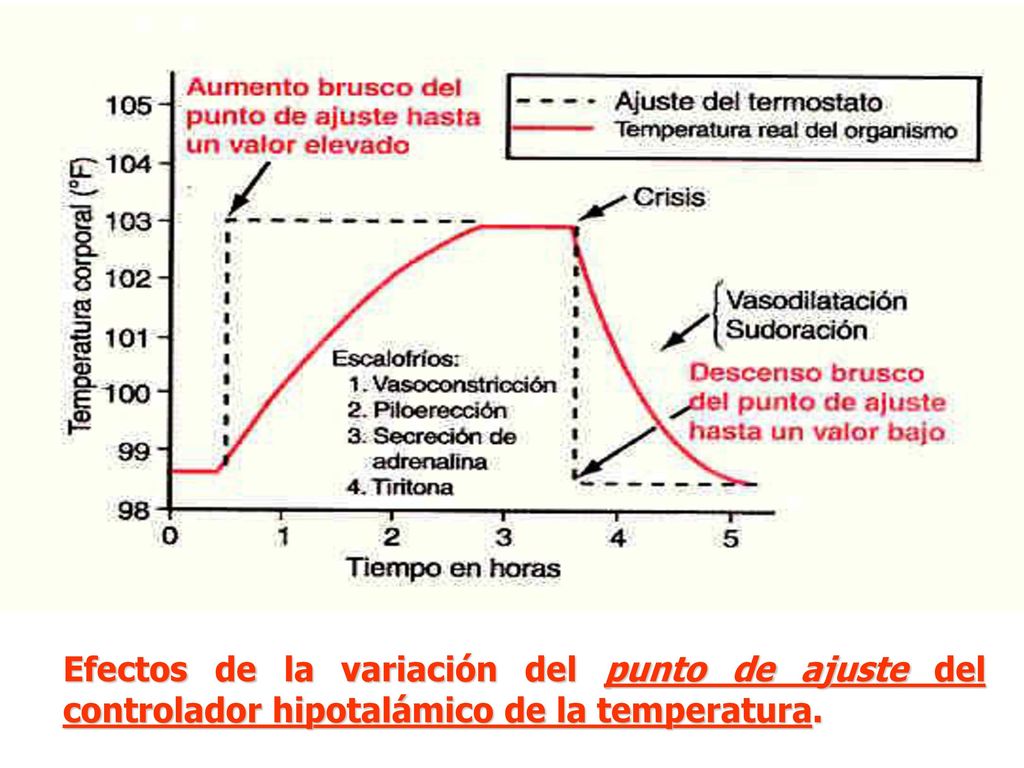 Efectos de la variación del punto de ajuste del controlador hipotalámico de la temperatura.