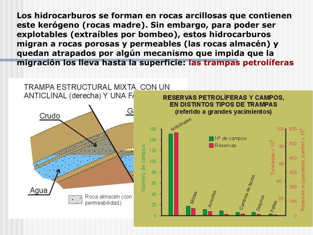 Los hidrocarburos se forman en rocas arcillosas que contienen este kerógeno (rocas madre).