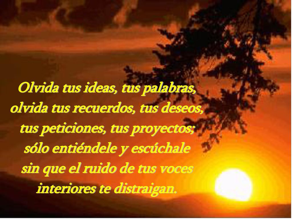 Olvida tus ideas, tus palabras, olvida tus recuerdos, tus deseos,