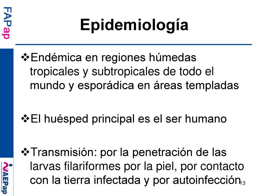 Epidemiología Endémica en regiones húmedas tropicales y subtropicales de todo el mundo y esporádica en áreas templadas.
