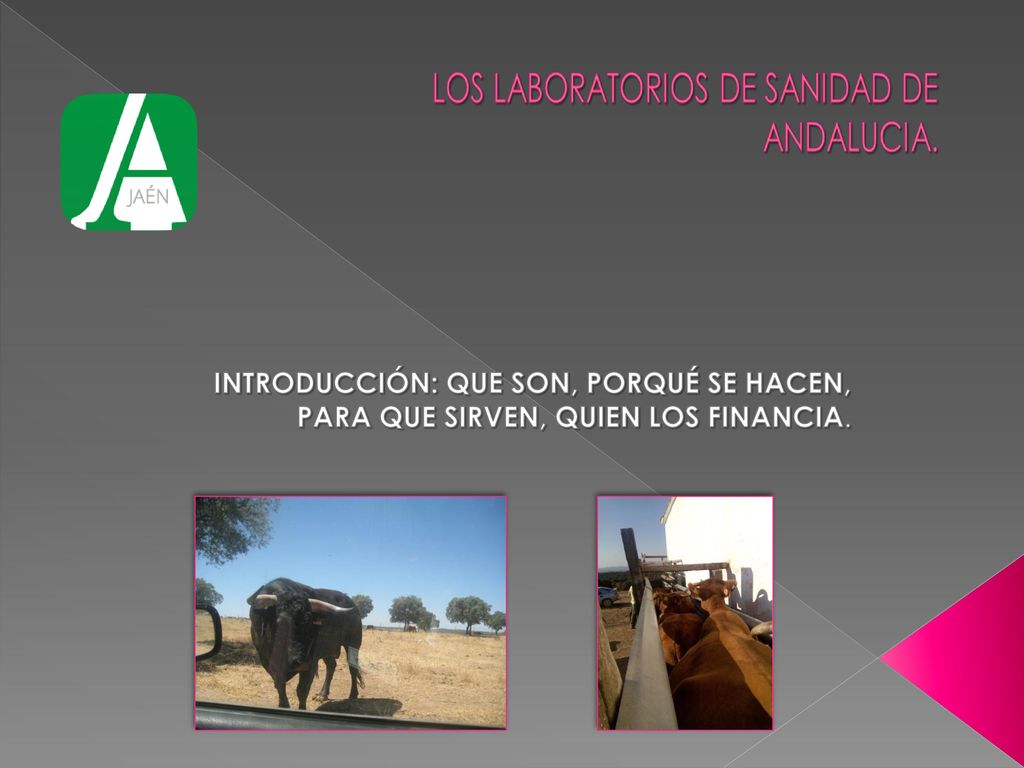 INTRODUCCIÓN: QUE SON, PORQUÉ SE HACEN, PARA QUE SIRVEN, QUIEN LOS FINANCIA.