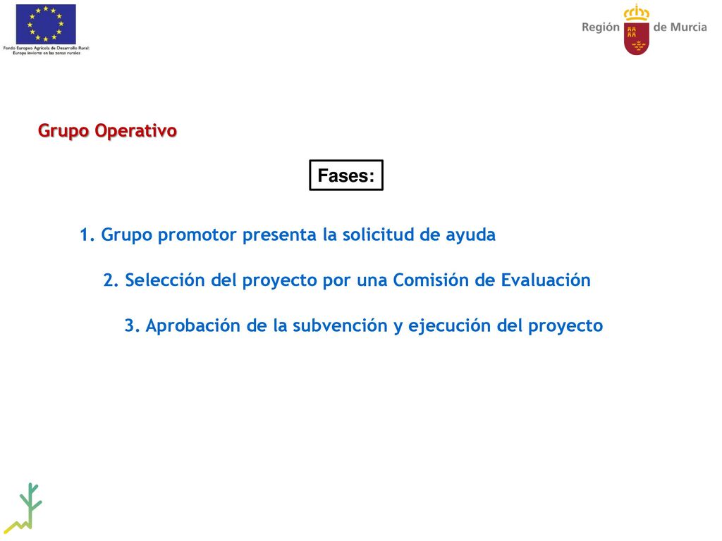 Grupo Operativo Fases: 1. Grupo promotor presenta la solicitud de ayuda. 2. Selección del proyecto por una Comisión de Evaluación.
