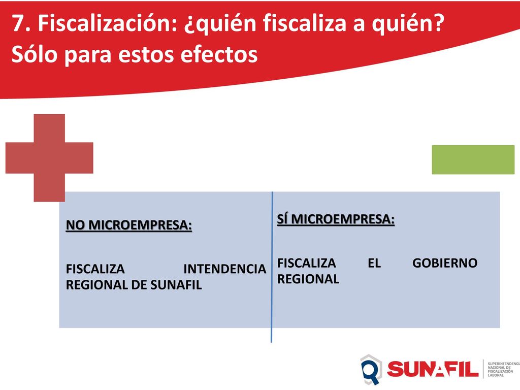 7. Fiscalización: ¿quién fiscaliza a quién Sólo para estos efectos