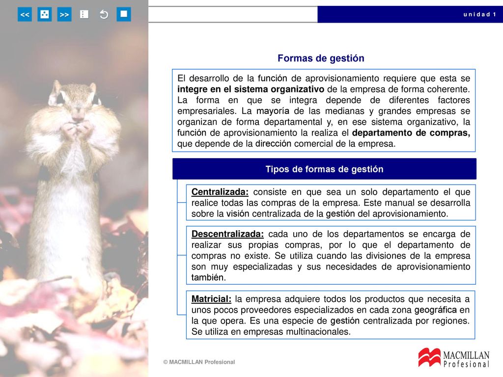 Tipos de formas de gestión