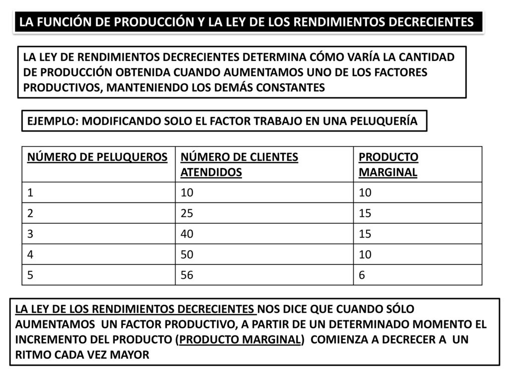 LA FUNCIÓN DE PRODUCCIÓN Y LA LEY DE LOS RENDIMIENTOS DECRECIENTES