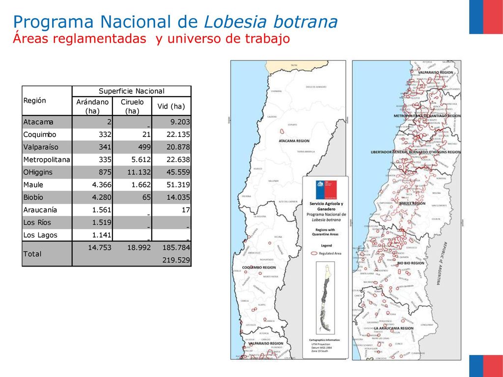 Programa Nacional de Lobesia botrana Áreas reglamentadas y universo de trabajo