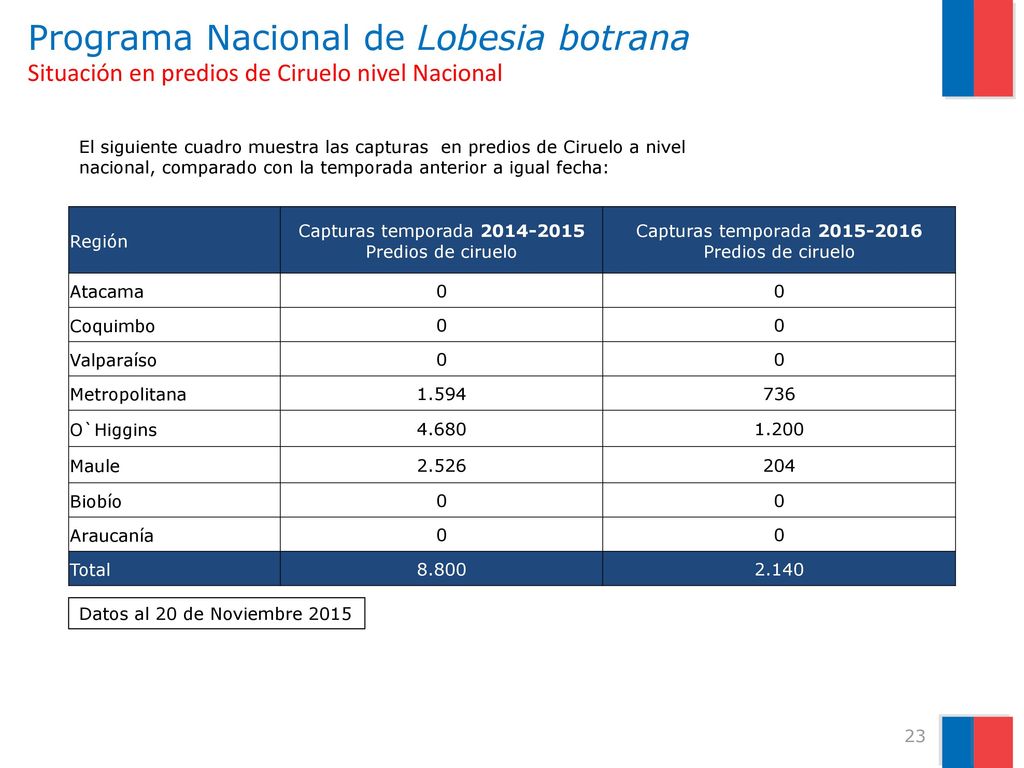 Programa Nacional de Lobesia botrana Situación en predios de Ciruelo nivel Nacional