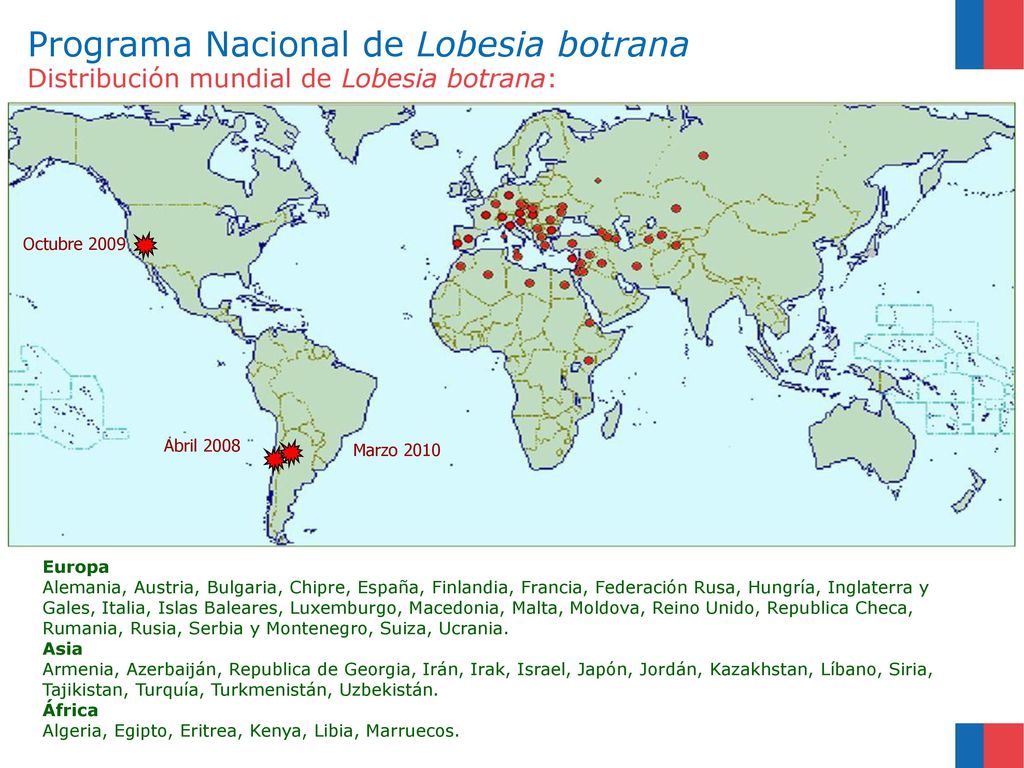 Programa Nacional de Lobesia botrana Distribución mundial de Lobesia botrana: