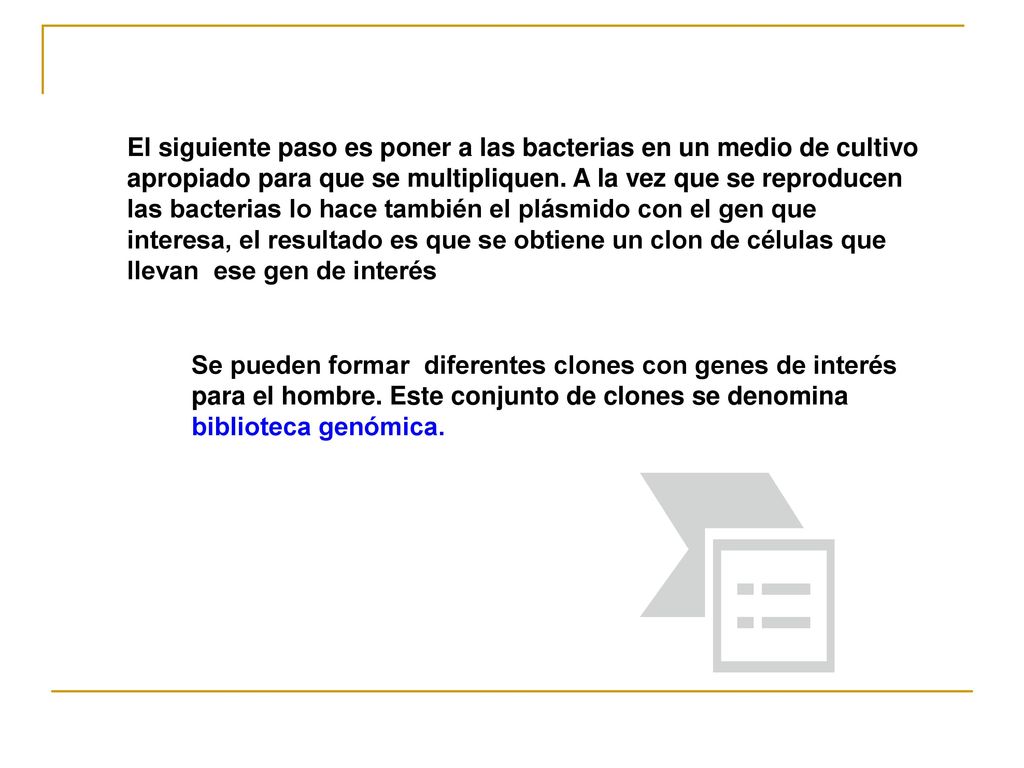 El siguiente paso es poner a las bacterias en un medio de cultivo apropiado para que se multipliquen. A la vez que se reproducen las bacterias lo hace también el plásmido con el gen que interesa, el resultado es que se obtiene un clon de células que llevan ese gen de interés