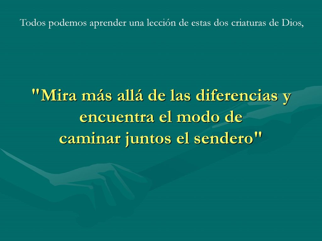Todos podemos aprender una lección de estas dos criaturas de Dios,