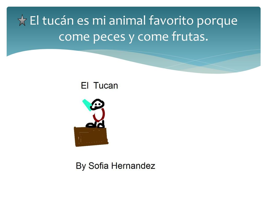 El tucán es mi animal favorito porque come peces y come frutas.