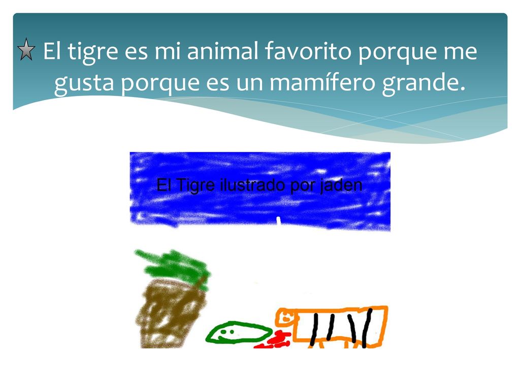 El tigre es mi animal favorito porque me gusta porque es un mamífero grande.
