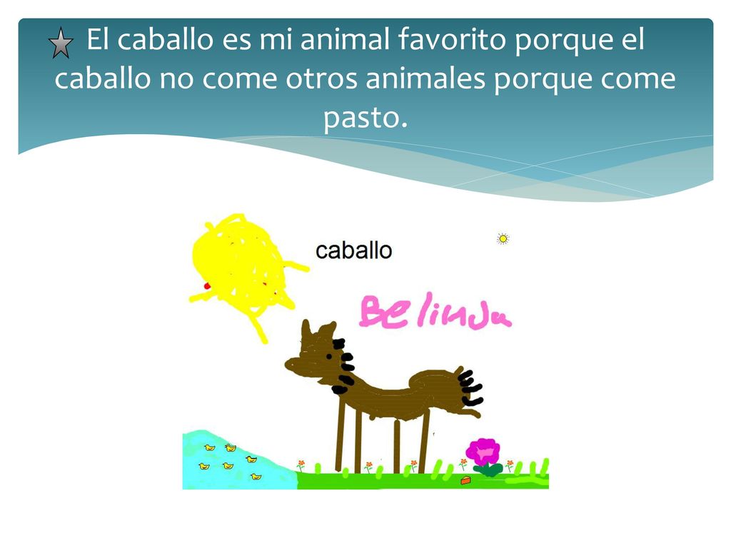 El caballo es mi animal favorito porque el caballo no come otros animales porque come pasto.