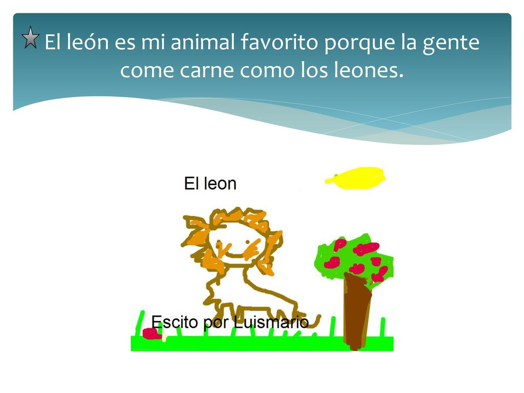 El león es mi animal favorito porque la gente come carne como los leones.