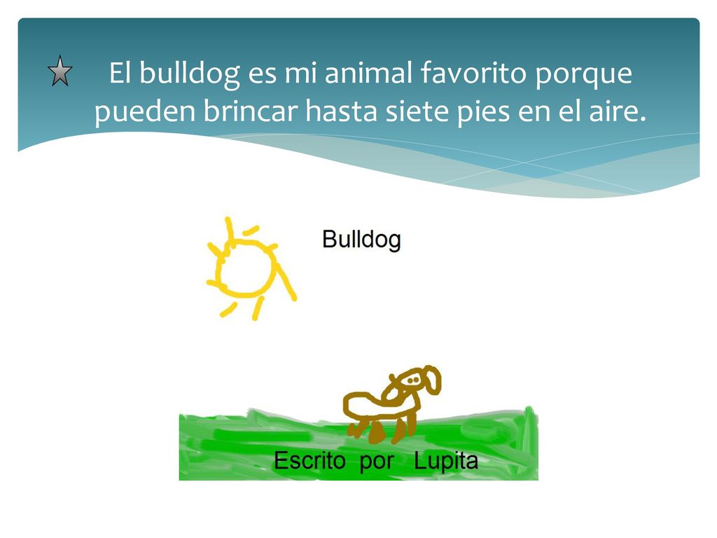 El bulldog es mi animal favorito porque pueden brincar hasta siete pies en el aire.