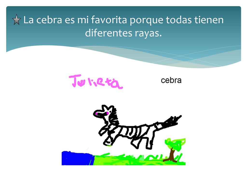 La cebra es mi favorita porque todas tienen diferentes rayas.