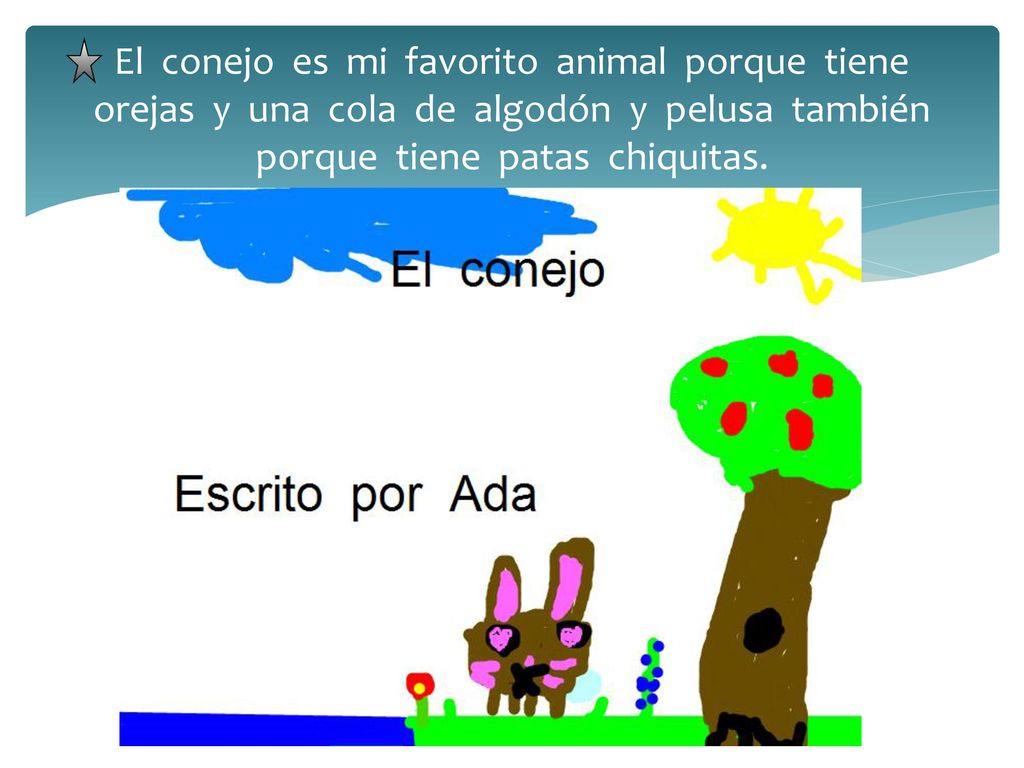 El conejo es mi favorito animal porque tiene orejas y una cola de algodón y pelusa también porque tiene patas chiquitas.