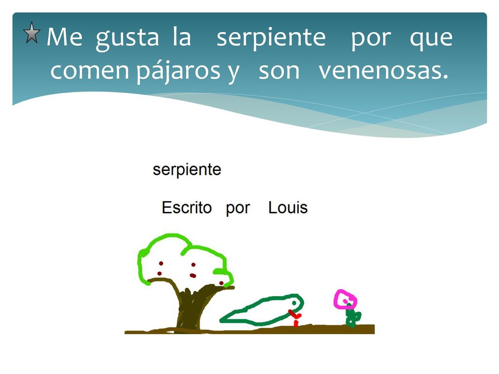 Me gusta la serpiente por que comen pájaros y son venenosas.