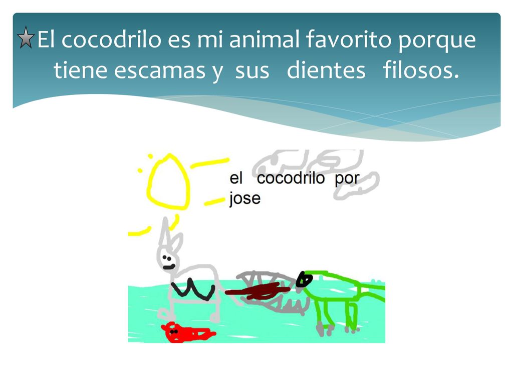 El cocodrilo es mi animal favorito porque tiene escamas y sus dientes filosos.