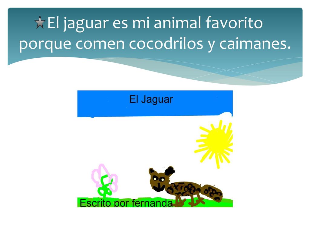 El jaguar es mi animal favorito porque comen cocodrilos y caimanes.