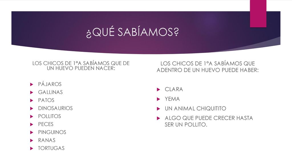 ¿QUÉ SABÍAMOS LOS CHICOS DE 1°A SABÍAMOS QUE DE UN HUEVO PUEDEN NACER: PÁJAROS. GALLINAS. PATOS.